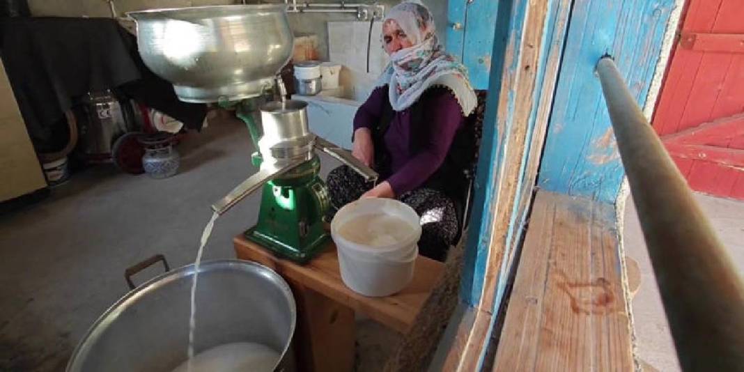 Sadece Türkiye’de değil dünya mutfağında da söz sahibi! Geleneksel lezzet: Peynir deyip geçmek büyük hata 4